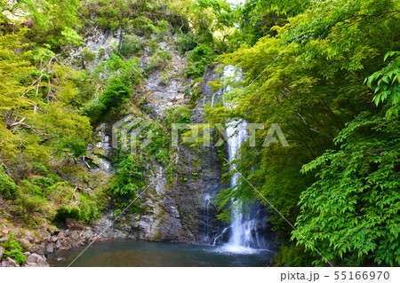 箕面滝 55166970