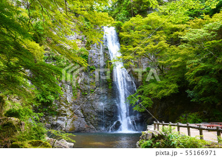 箕面滝 箕面滝 55166971
