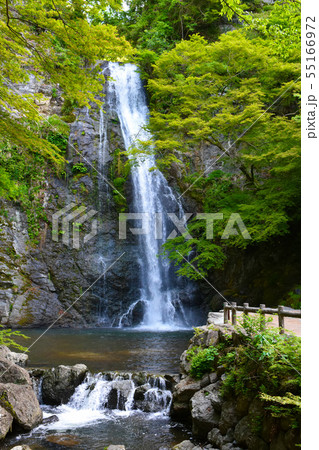 箕面大滝　箕面川　渓谷 55166972