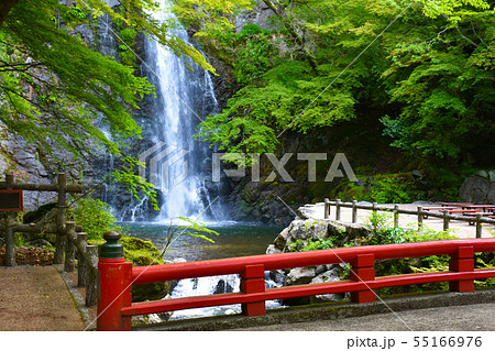 箕面大滝 箕面川 渓谷 箕面大滝 箕面川 渓谷 55166976