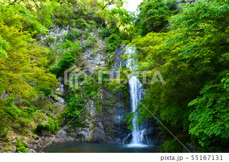 箕面大滝　新緑 55167131