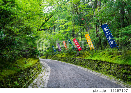 京都 赤山禅院の新緑 京都 赤山禅院の新緑 55167197
