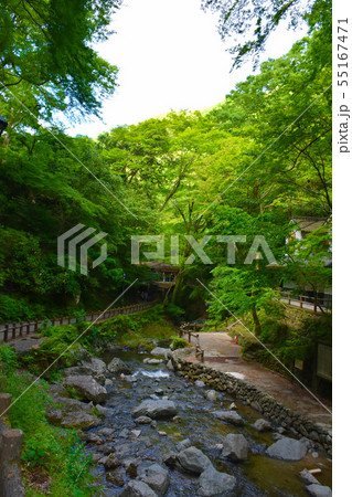 明治の森箕面国定公園 箕面川 渓谷 明治の森箕面国定公園 箕面川 渓谷 55167471