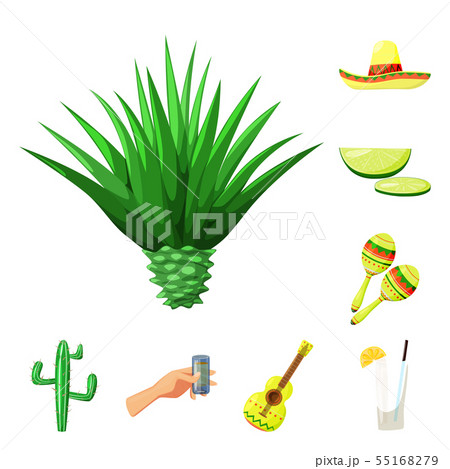 Isolated object of Mexico and tequila symbol. Collection of Mexico and fiesta stock symbol for web. 55168279