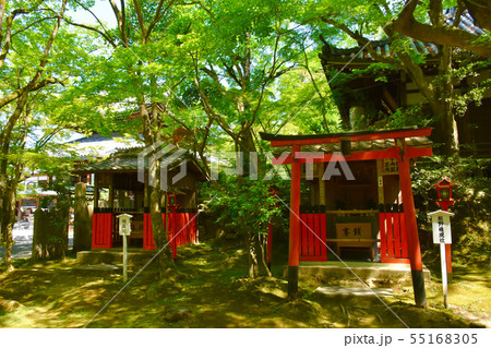 今熊野観音寺 太師堂 55168305