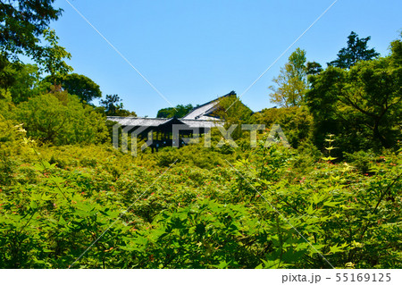 東福寺 洗玉澗と通天橋 55169125