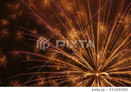 花火 55169300