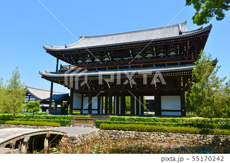 東福寺 三門と思遠池 東福寺 三門と思遠池 55170242