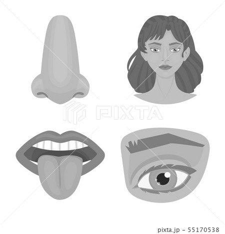 Isolated object of body and part sign. Set of...のイラスト素材 [55170538] - PIXTA