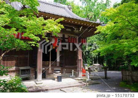 京都　赤山禅院　夏　 55170732