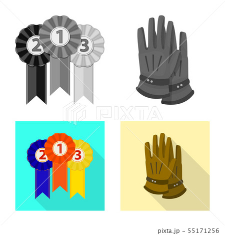 Isolated object of equipment and riding icon. Collection of equipment and competition stock symbol Isolated object of equipment and riding icon. Collection of equipment and competition stock symbol 55171256