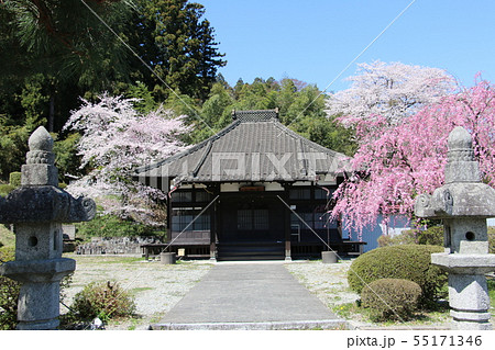 サクラの名刹として名高い二本松市本久寺 サクラの名刹として名高い二本松市本久寺 55171346