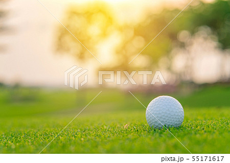 Golf ball on green grass ready to be shot at golf Golf ball on green grass ready to be shot at golf 55171617