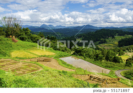 上越市大月の棚田 55171897