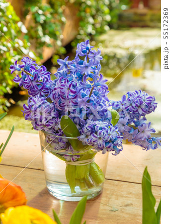 Flowers in green house. Floral bouquet shop. Blooming plants and multi color flowers inside a garden Flowers in green house. Floral bouquet shop. Blooming plants and multi color flowers inside a garden 55172369