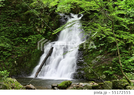 宇津江四十八滝　梵音滝（岐阜県高山市） 55172555