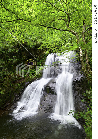 宇津江四十八滝　上段滝（岐阜県高山市） 55172620