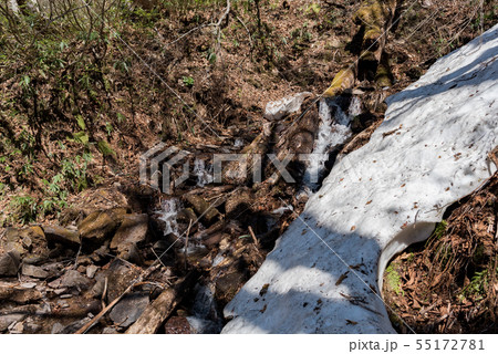 雪解けの登山道 沢 雪解けの登山道 沢 55172781