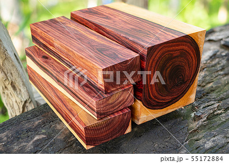 Wood logs of Burmese rosewood Wood logs of Burmese rosewood 55172884