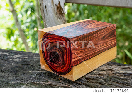 Wood logs of Burmese rosewood Wood logs of Burmese rosewood 55172896
