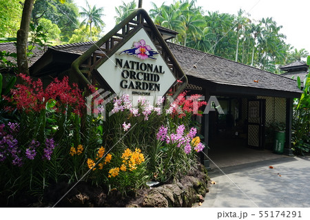 ナショナルオーキッドガーデン 55174291
