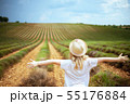 modern child in green field in Provence, France rejoicing 55176884