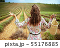 woman at green field missed flowering of lavender 55176885