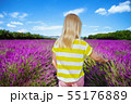 girl in lavender field in Provence, France touching lavender 55176889