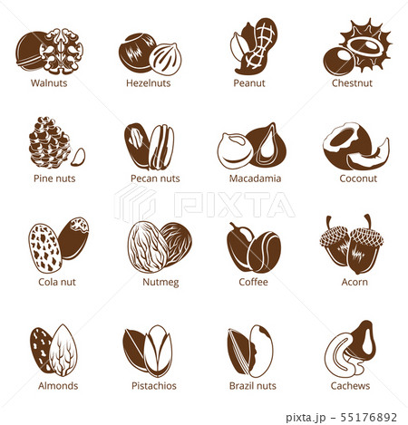 Monochrome Illustrations Of Nuts Vector のイラスト素材