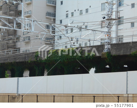 緑のドレス 55177901