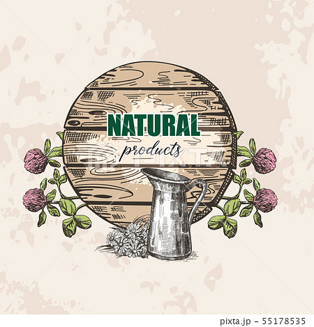 Wooden sign, wildflowers and milk jug. Sketch style illustration. Suitable for the design of natural Wooden sign, wildflowers and milk jug. Sketch style illustration. Suitable for the design of natural 55178535