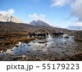 Yaks carrying loads on the way to the Everest base camp, Everest region, Himalayas, Nepal. 55179223