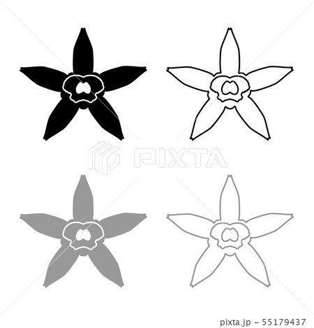 Vanilla flower icon outline set black grey color 55179437