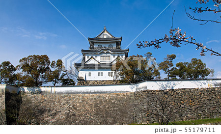 早春の岸和田城 早春の岸和田城 55179711