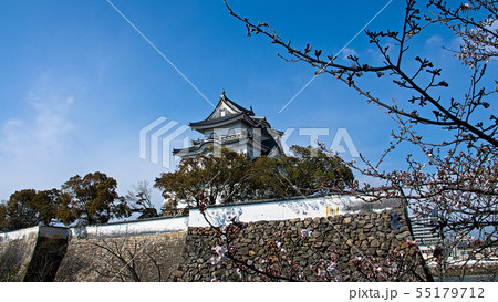 早春の岸和田城 早春の岸和田城 55179712