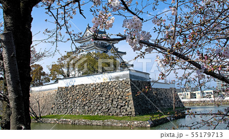 早春の岸和田城 早春の岸和田城 55179713