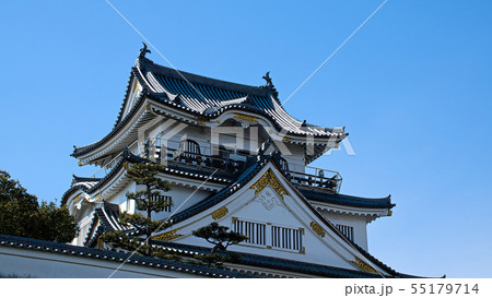 早春の岸和田城 早春の岸和田城 55179714