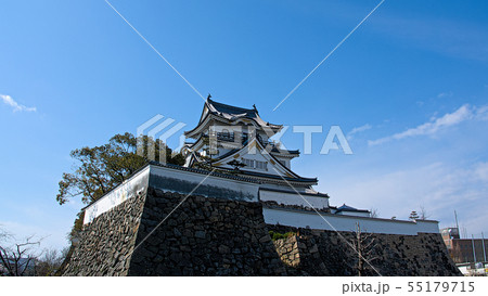 早春の岸和田城 早春の岸和田城 55179715