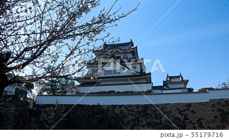 早春の岸和田城 早春の岸和田城 55179716