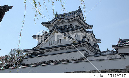 早春の岸和田城 早春の岸和田城 55179717