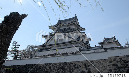 早春の岸和田城 早春の岸和田城 55179718