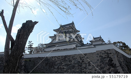 早春の岸和田城 早春の岸和田城 55179719