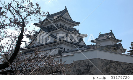 早春の岸和田城 早春の岸和田城 55179720