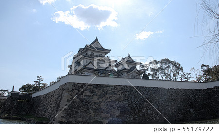 早春の岸和田城 早春の岸和田城 55179722