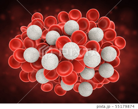 white blood cells with red blood cells 55179874