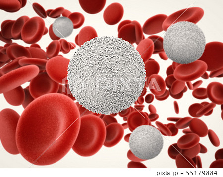 white blood cells with red blood cells 55179884
