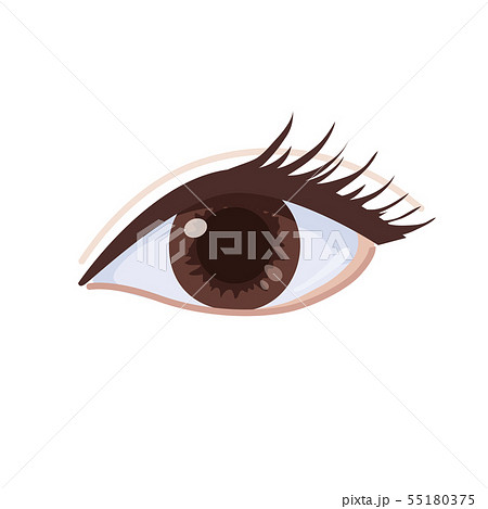 ボディパーツ イラスト 目のイラスト素材