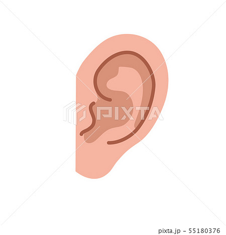 ボディパーツ　イラスト　耳 55180376