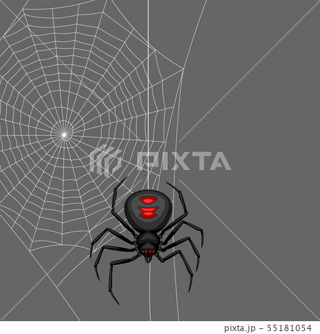 Background with black widow spider. Background with black widow spider. 55181054