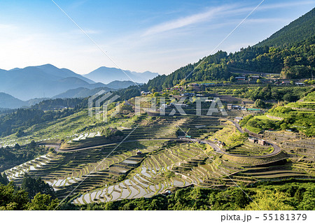 丸山千枚田 55181379